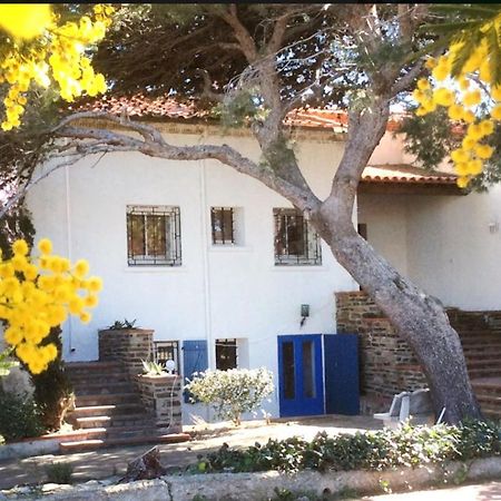 Villa Bleue - Les Pins Port Vendres Eksteriør billede