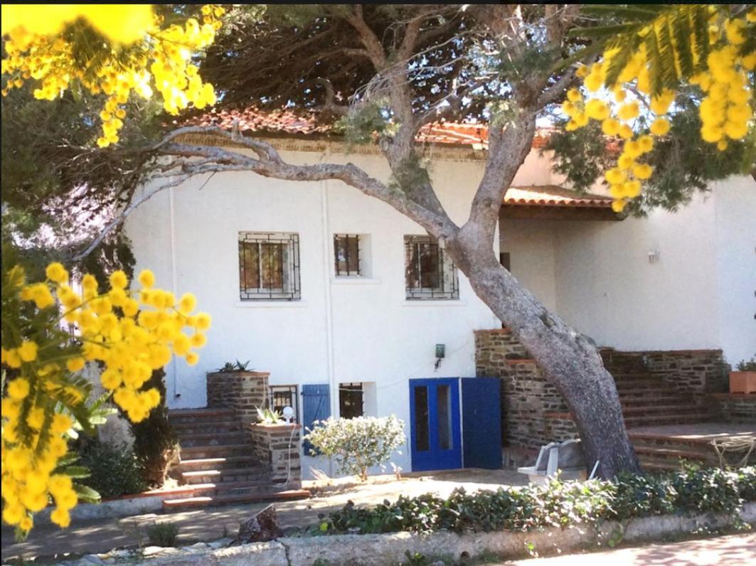 Villa Bleue - Les Pins Port Vendres Eksteriør billede