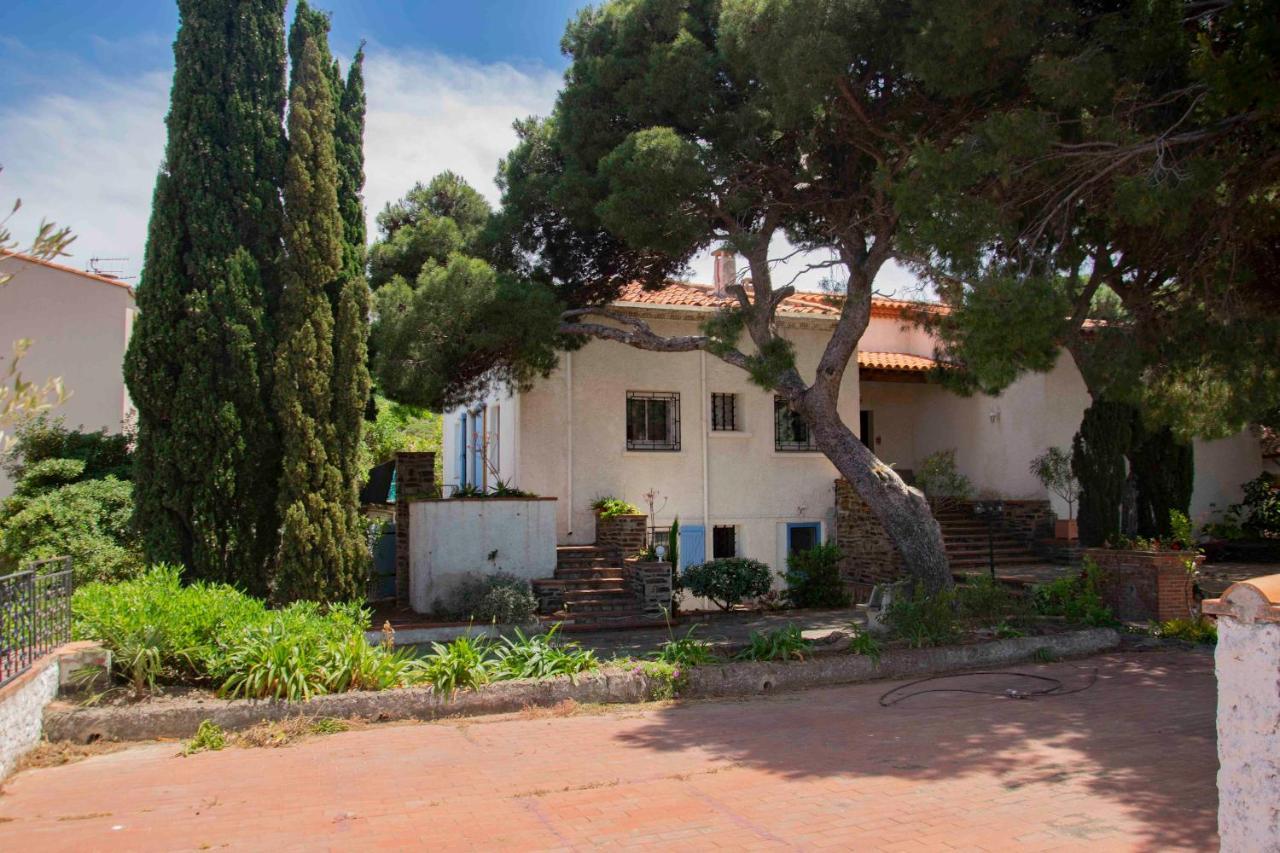 Villa Bleue - Les Pins Port Vendres Eksteriør billede
