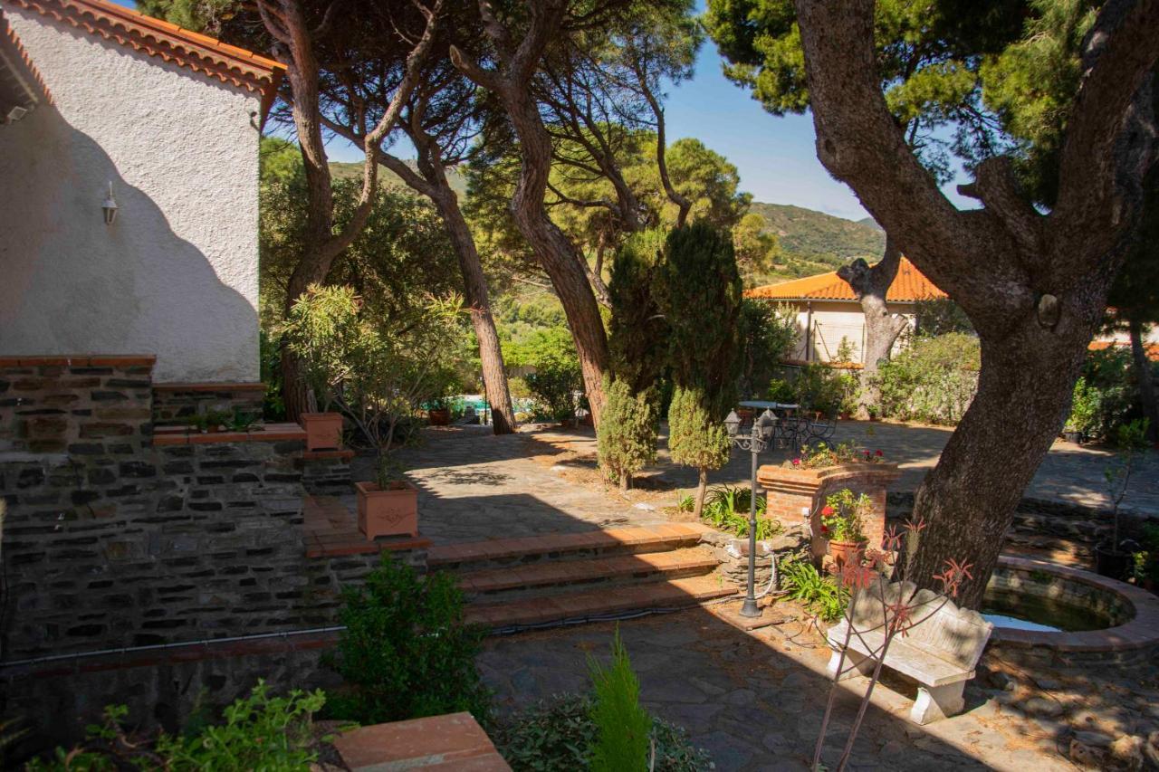 Villa Bleue - Les Pins Port Vendres Eksteriør billede