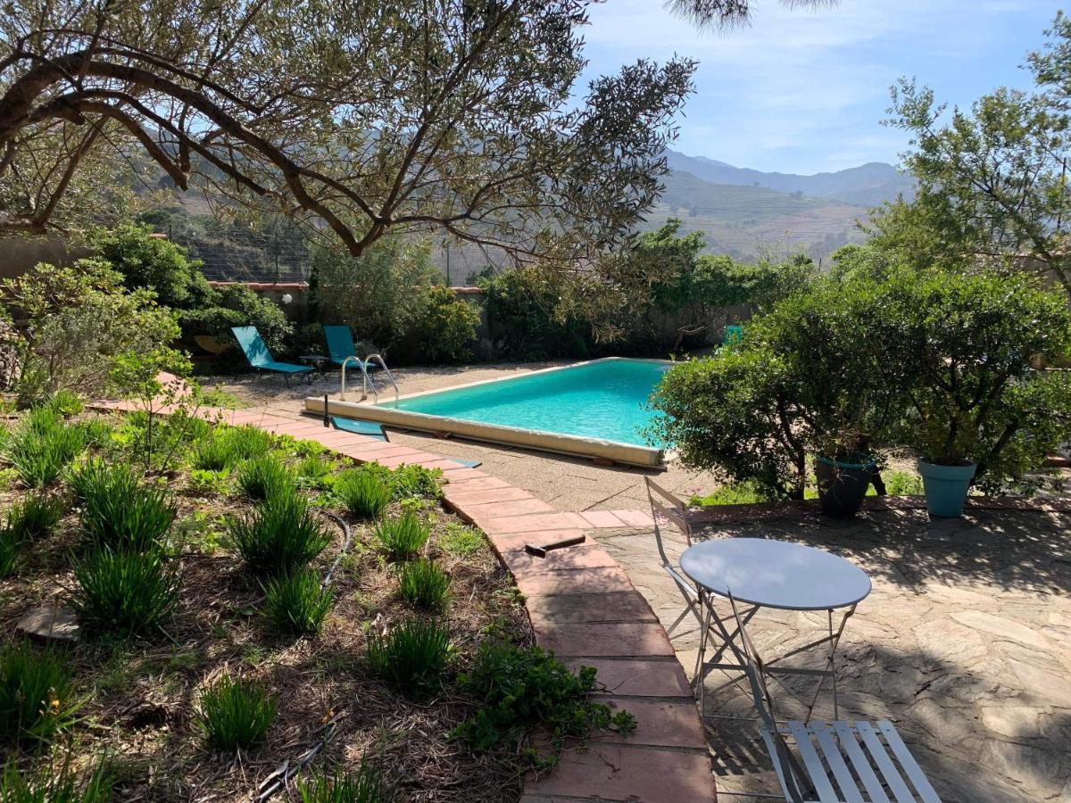 Villa Bleue - Les Pins Port Vendres Eksteriør billede